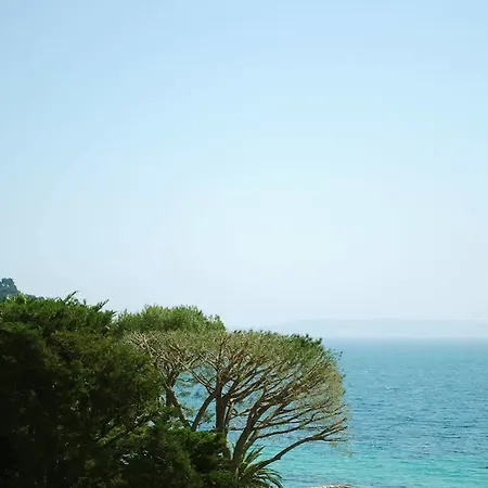 Cap Negre Le Lavandou